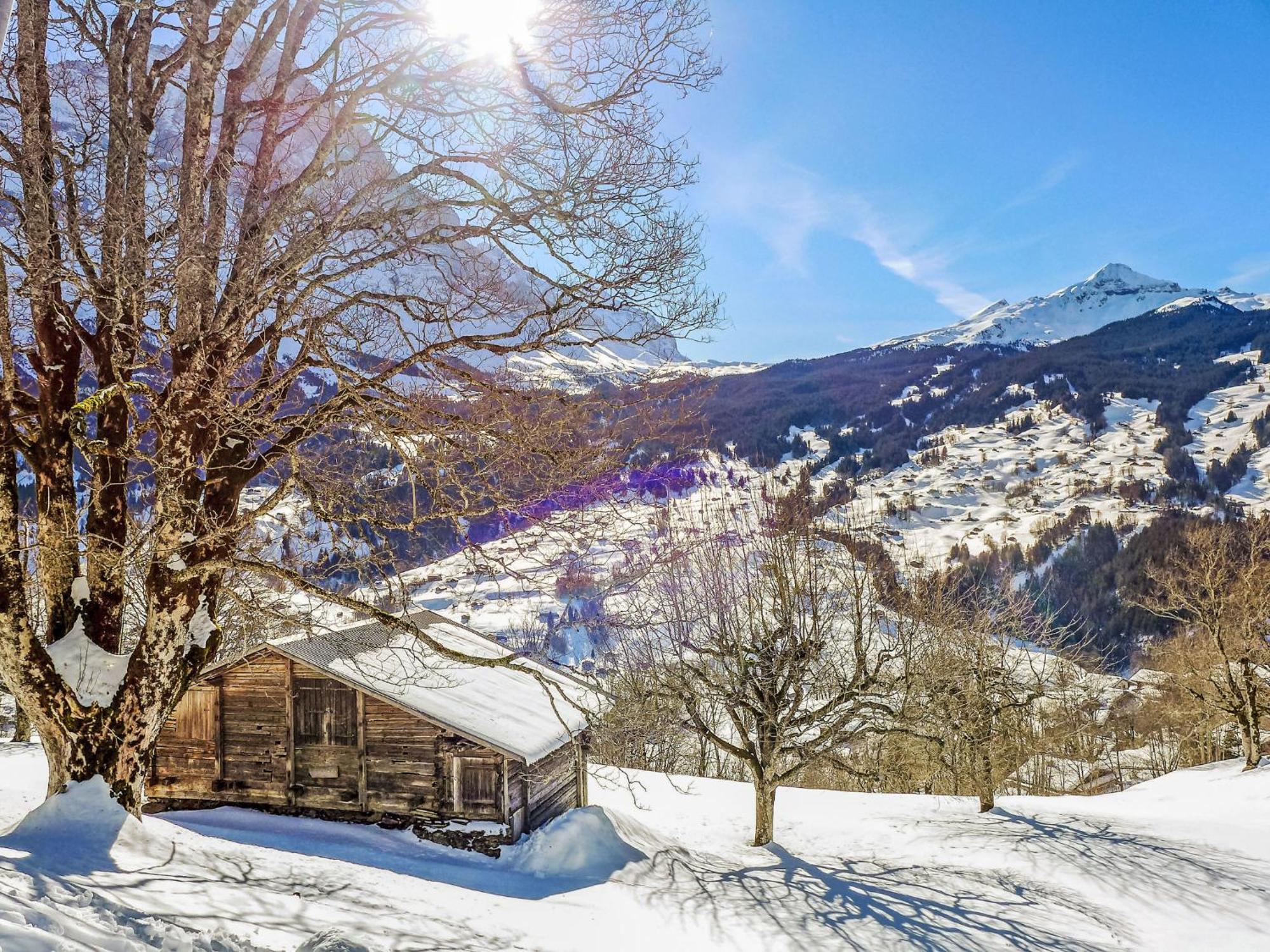Apartment Chalet Hobelbank By Interhome グリンデルヴァルト エクステリア 写真