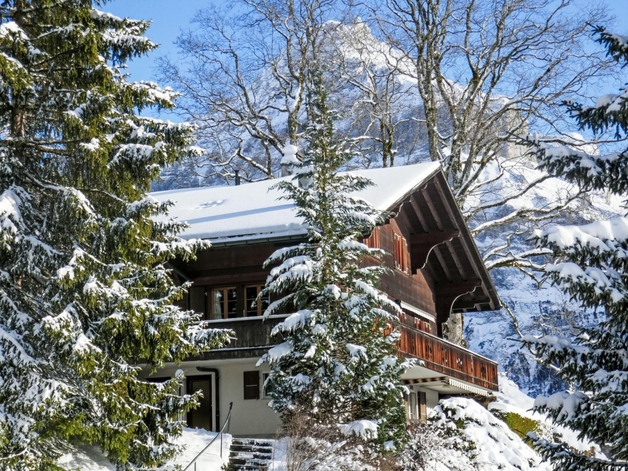 Apartment Chalet Hobelbank By Interhome グリンデルヴァルト エクステリア 写真